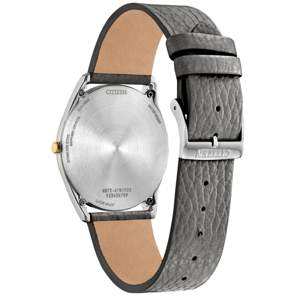 Citizen Suratto Eco-Drive (AR3124-07H) - Image 2