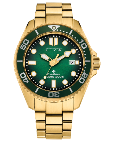 Citizen Promaster Dive (BN0262-59W)