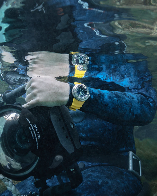 Citizen Promaster Dive "Ecozilla" (BJ8058-06L) - Image 7