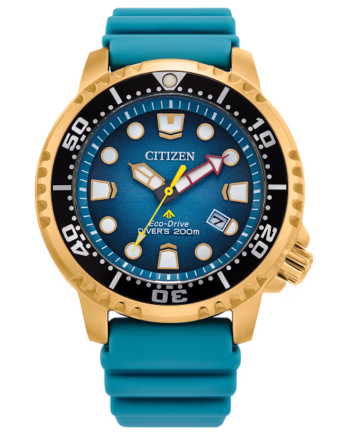Citizen Promaster Dive (BN0162-02X)