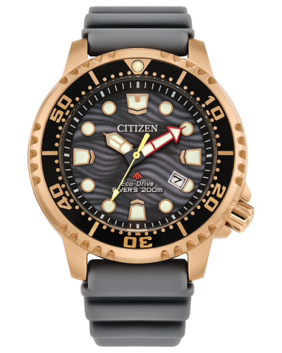 Citizen Promaster Dive (BN0163-00H)