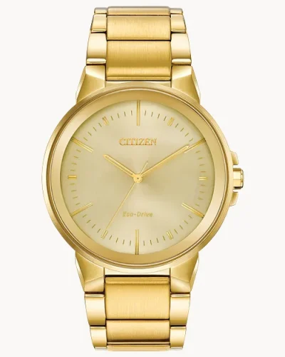 Citizen Axiom (BJ6512-56P)