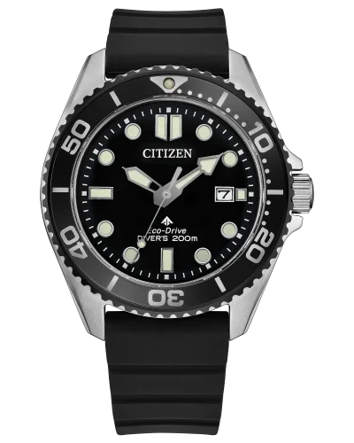 Citizen Promaster Dive (BN0266-07E)